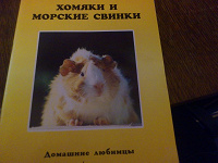 Отдается в дар малюсенькая книжечка по уходу за хомячками и морскими свинками