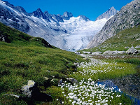 Отдается в дар Швейцария