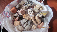 Отдается в дар Камни с моря