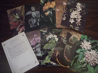 Отдается в дар открытки «растения»