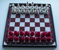 Отдается в дар Дорожные магнитные шахматы
