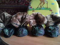 Отдается в дар Дар для вашего питомца