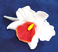Отдается в дар Заколка — Орхидея каттлея