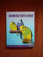 Отдается в дар Книжка — попугайчики