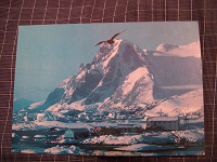 Отдается в дар Antarctica