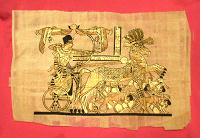 Отдается в дар Небольшой папирус (Ливия)