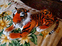 Отдается в дар тигра