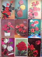 Отдается в дар Фотокомпозиции с розами