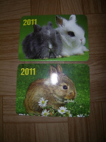 Отдается в дар Календарики — Кролики