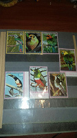 Отдается в дар серия марок птички