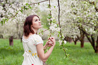 Отдается в дар Фотосессия на фоне цветущих яблонь
