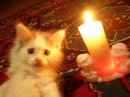 Отдается в дар Новогодний сюрприз