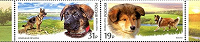 Отдается в дар Сцепка Служебные породы собак: колли и немецкая овчарка. Всемирная выставка собак