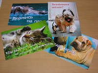 Отдается в дар Открытки