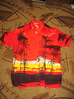 Отдается в дар мужская летняя рубашка с пальмами