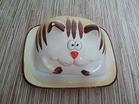 Отдается в дар Масленка Кот