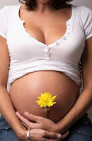 Отдается в дар Гимн беременности, материнству и отцовству