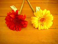 Отдается в дар цветы искусственные для декора из Икеи новые