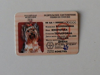 Отдается в дар Водительское удостоверение с собачкой