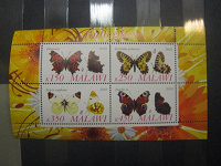 Отдается в дар Фантастические бабочки Малави.