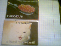 Отдается в дар магниты