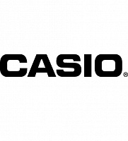 Аксессуары от фотика Casio P700