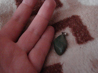 Отдается в дар Зеленый камушек-кулончик. Около сантиметра. Что за камень не знаю…