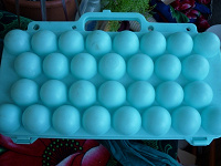 Отдается в дар Посуда переноска для яиц