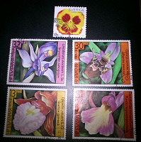 Отдается в дар марки орхидеи