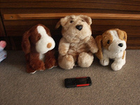 Отдается в дар Мягкие игрушки собаки и медведи (ОСТАЛИСЬ 4,5 и 7)