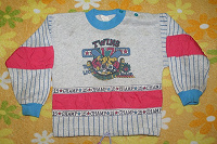 Отдается в дар Спортивный свитер на мальчика трех-четырёх лет