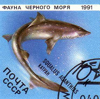 Отдается в дар Марочки 2