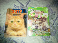 Отдается в дар Календарики с котятами