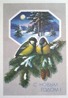 Отдается в дар Две открытки СССР с синичками.