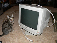 Отдается в дар Монитор Sony Trinitron Multiscan 100GS