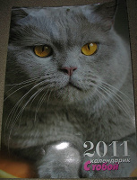 Отдается в дар Календарь с кошками на 2011 г
