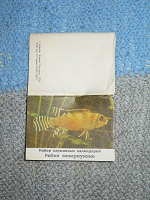 Отдается в дар Набор календариков «Рыбки аквариумные» для коллекции