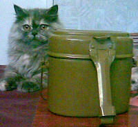 Отдается в дар Солдатский котелок