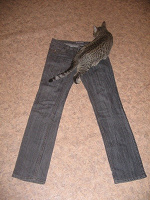 Отдается в дар Классные серые джинсы