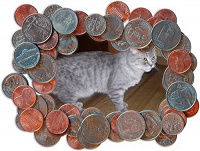 Отдается в дар котик монетный из разных стран