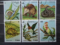 Отдается в дар Фауна — кубинская серия.