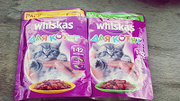 Отдается в дар Whiskas для котят