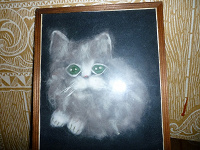 Отдается в дар Портрет кошки.