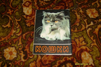 Отдается в дар Набор открыток «Кошки»