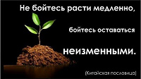 Отдается в дар Семена Черимойи. Латинское название: Annona cherimola. Русское название: Черимойя. Семейство: Annonaceae (Москва)