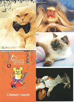 Отдается в дар Рекламные открытки с собаками, кошками и мышкой