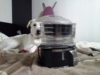 Отдается в дар Пароварка bork