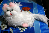 Милое котэ