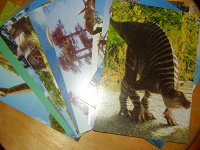 Отдается в дар открыточки с динозаврами