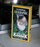 Отдается в дар видео кассета про кошек